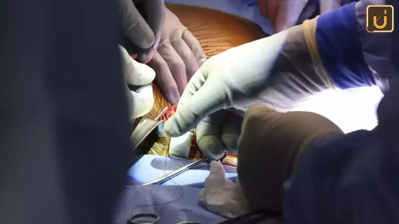 Usthadian Academy / US Surgeons Perform First Pig-to-Human Kidney Transplant